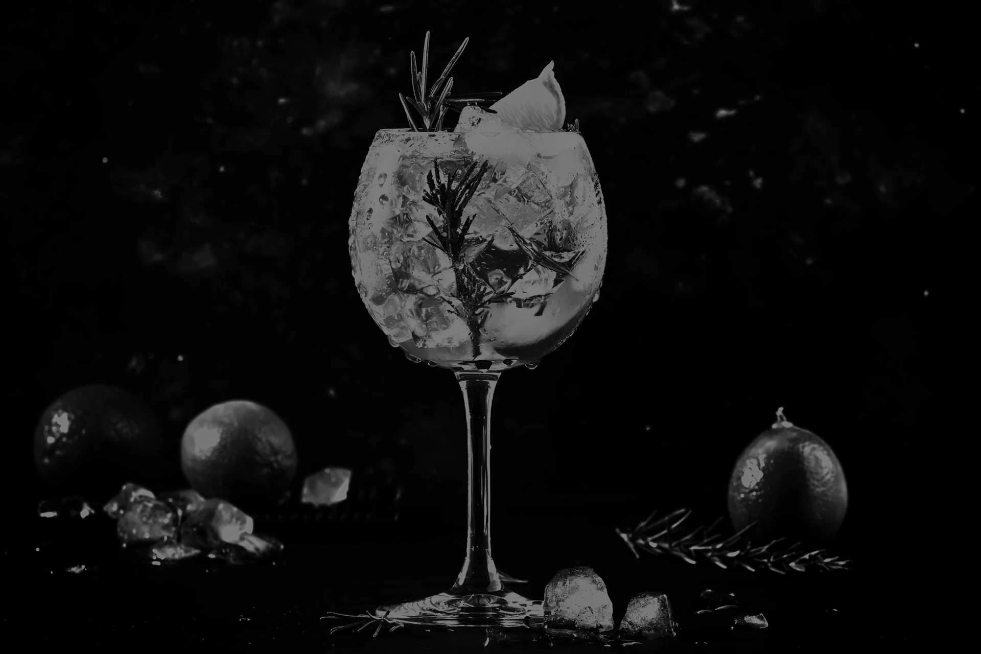 Imagen de una copa balón de Gin Tonic con una rodaja de limón y una ramita de romero