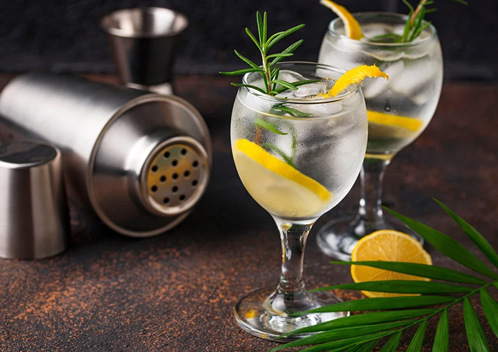 Imagen de una de una coctelera y un par de copas de Gin Tonic acompañadas con una rodaja de limón y una ramita de romero